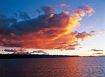 3D Realms工作室95年《掠食》原型版泄露